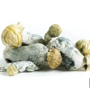 tidal wave whole dried mushrooms