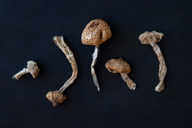 6 mushrooms