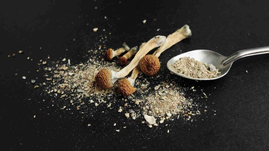 unlocking the mysteries a deep dive into blue meanies magic mushrooms